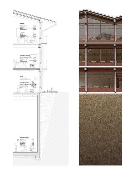 Fassadenschnitt und Fassadenansicht Schulhaus