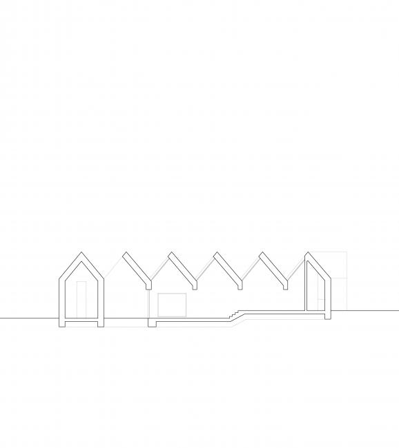 Longitudinal Section