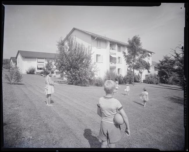 Wohnsiedlung Bergacker, Zürich-Affoltern, ca. 1954, Baugeschichtliches Archiv, Stadt Zürich; Fotograf: Michael Wolgensinger